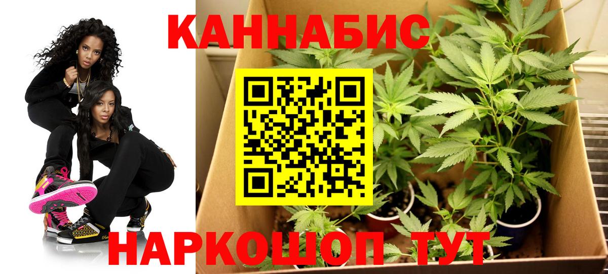 Нальчик  Конопля White Widow  Вход с VPN  Конопля Amnesia 